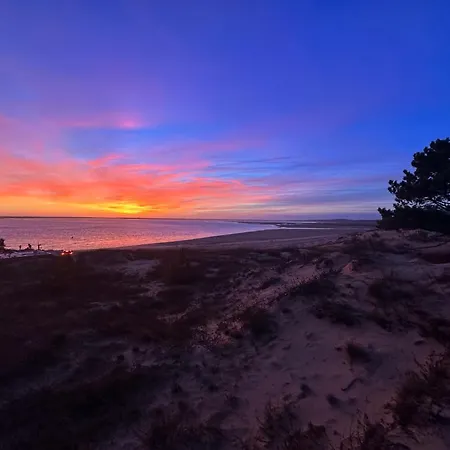 La Palmyre - 10/12 Pers - Jardin Clos - Wifi - Fr-1-705-60 * Les Mathes