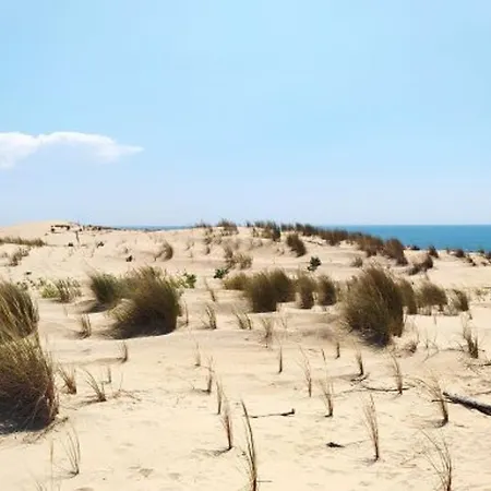 La Palmyre - 10/12 Pers - Jardin Clos - Wifi - Fr-1-705-60 Villa